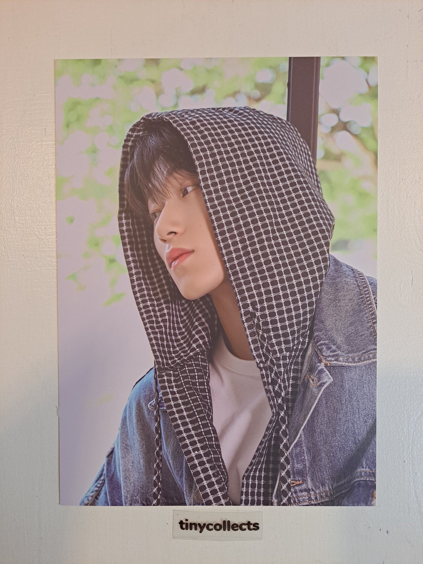 San Poster set Atiny's Voyage: From A to Z MD ATEEZ