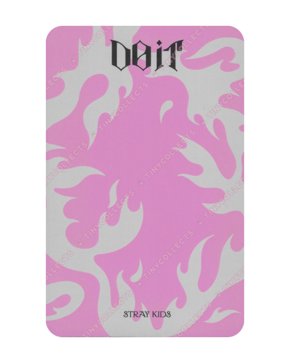 Han album incl. IT pc ver. DO IT Stray Kids