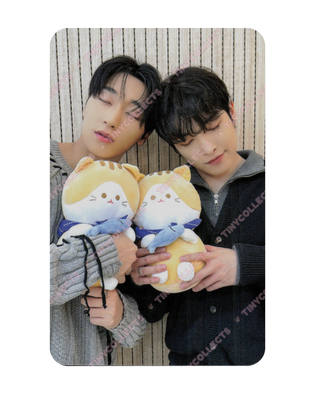 Hongjoong San Soundwave 4.2 Cat Friend unit ver. fansign benefit Golden Hour part 2 ATEEZ