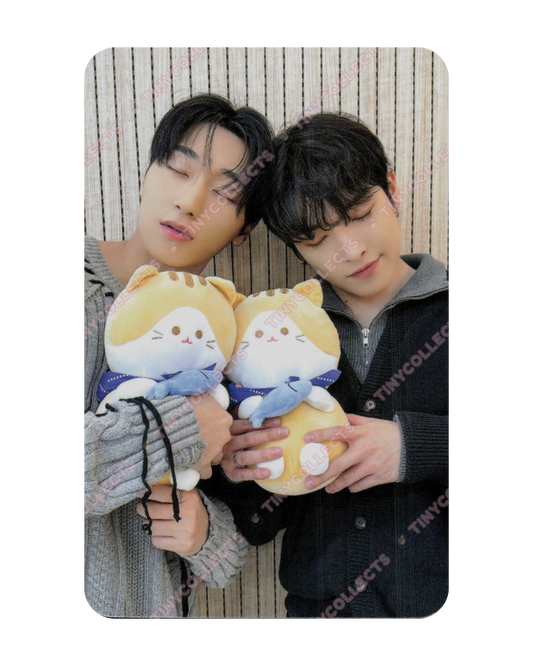 Hongjoong San Soundwave 4.2 Cat Friend unit ver. fansign benefit Golden Hour part 2 ATEEZ