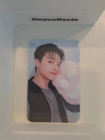 Wooyoung Toktoq pob Golden Hour part 1 ATEEZ