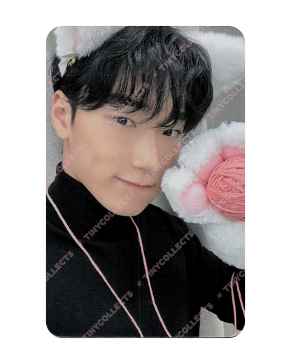 San Dear My Muse Lucky Draw 1.1 Woolly Meow ver. Golden Hour part 4 ATEEZ