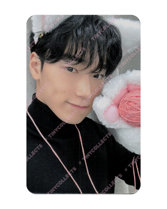 San Dear My Muse Lucky Draw 1.1 Woolly Meow ver. Golden Hour part 4 ATEEZ