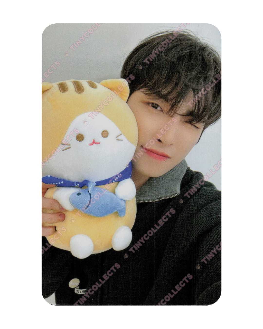 Hongjoong Soundwave 4.1 Cat Friend ver. fansign benefit Golden Hour part 2 ATEEZ