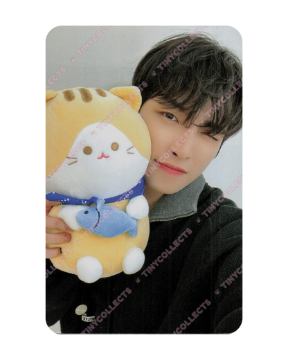 Hongjoong Soundwave 4.1 Cat Friend ver. fansign benefit Golden Hour part 2 ATEEZ