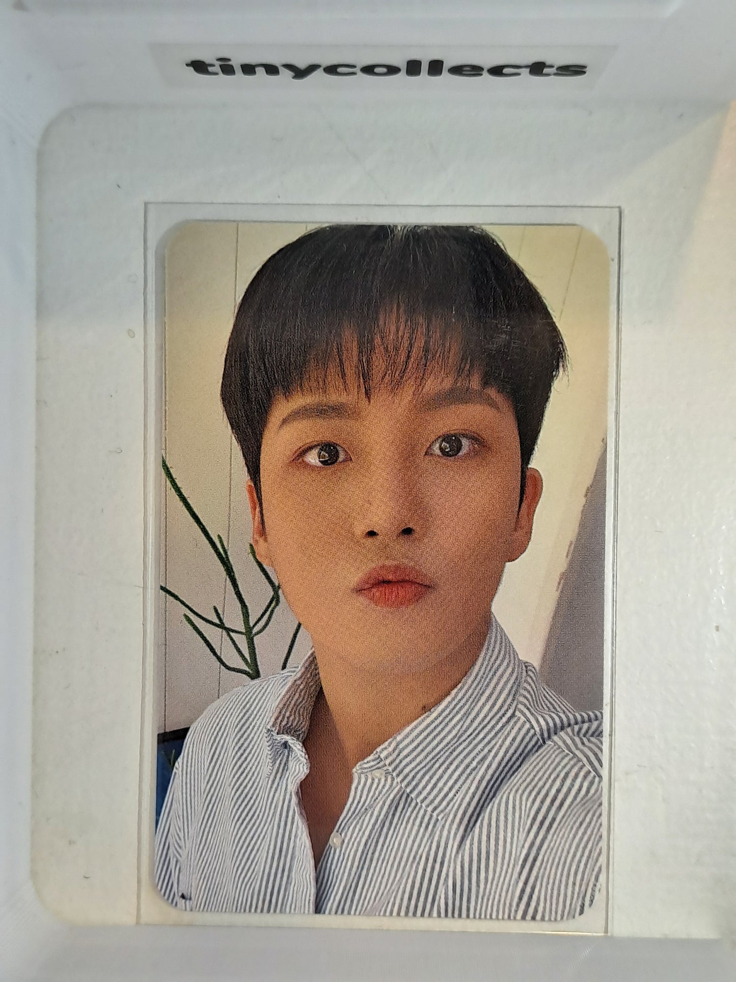 Jongho Atiny Room pop-up trading card 3 ATEEZ