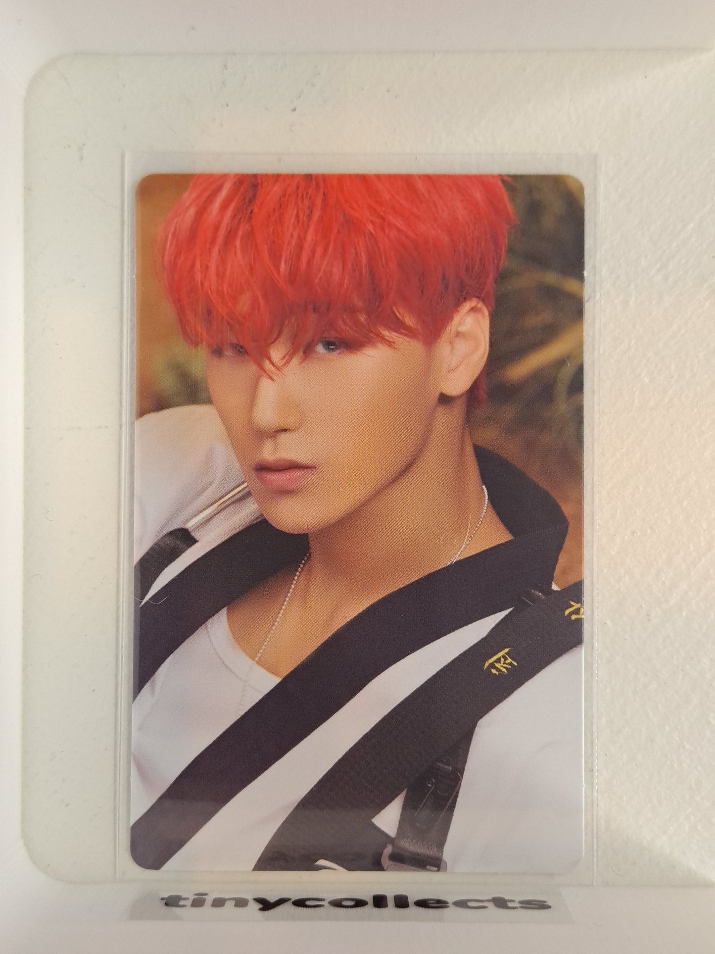 San Album incl. A ver. Z The World Ep.Fin: Will