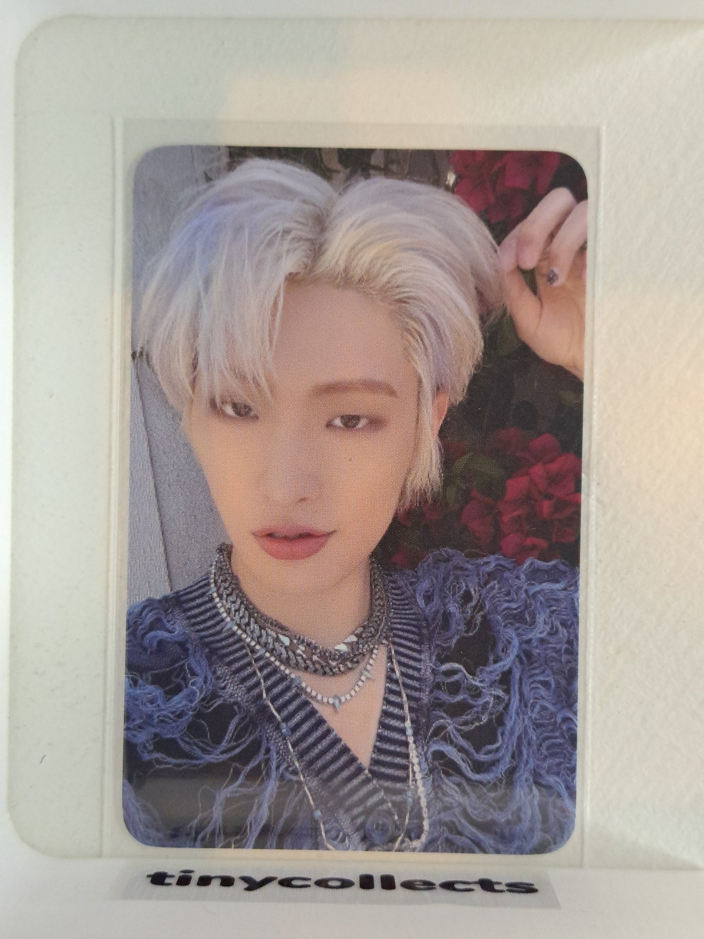 Mingi Soundwave MD Photo & Scratch card set Z incl. Golden Hour part 1