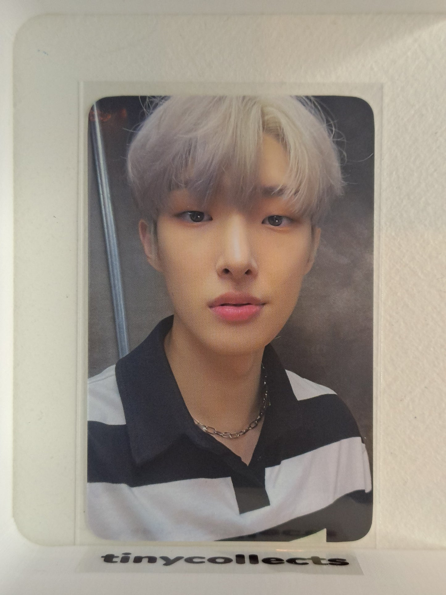 Mingi pob Hello82 Season Songs