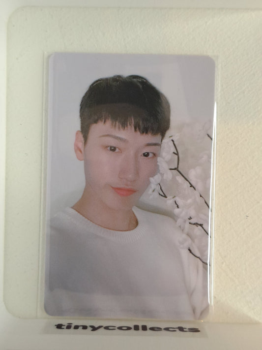 San Music Art LD ZERO: Fever part 3 ATEEZ