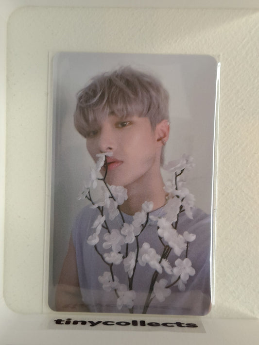 Mingi Music Art LD ZERO: Fever part 3 ATEEZ