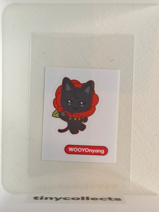 Wooyonyang Soundwave 1.0 POB Golden Hour part 3: IYF Limited ATEEZ