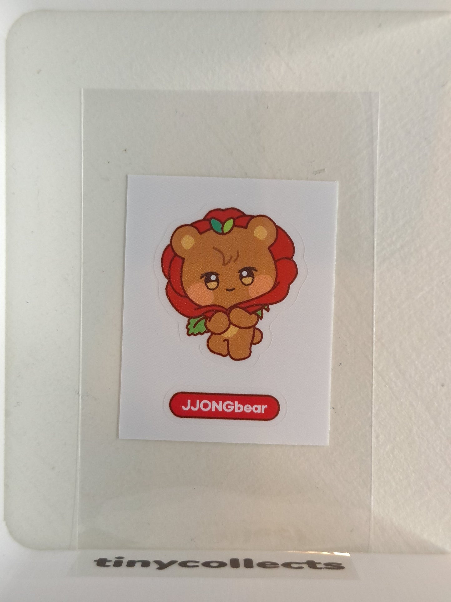Jjongbear Soundwave 1.0 POB Golden Hour part 3: IYF Limited ATEEZ