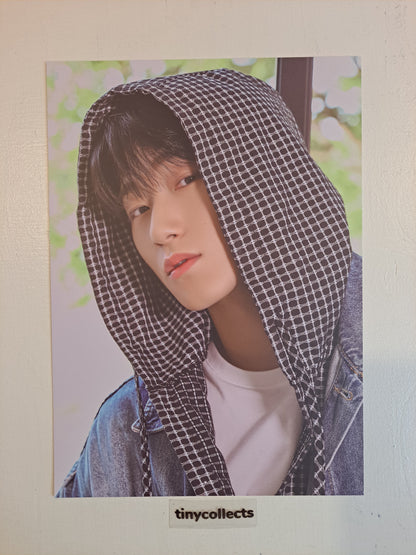 San Poster set Atiny's Voyage: From A to Z MD ATEEZ