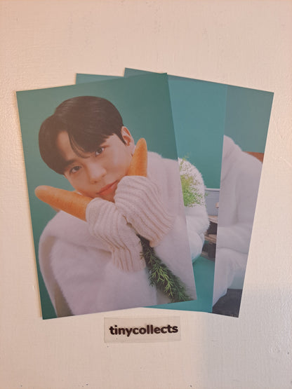 Jongho Postcard set Winter Special MD: Snowman Factory ATEEZ