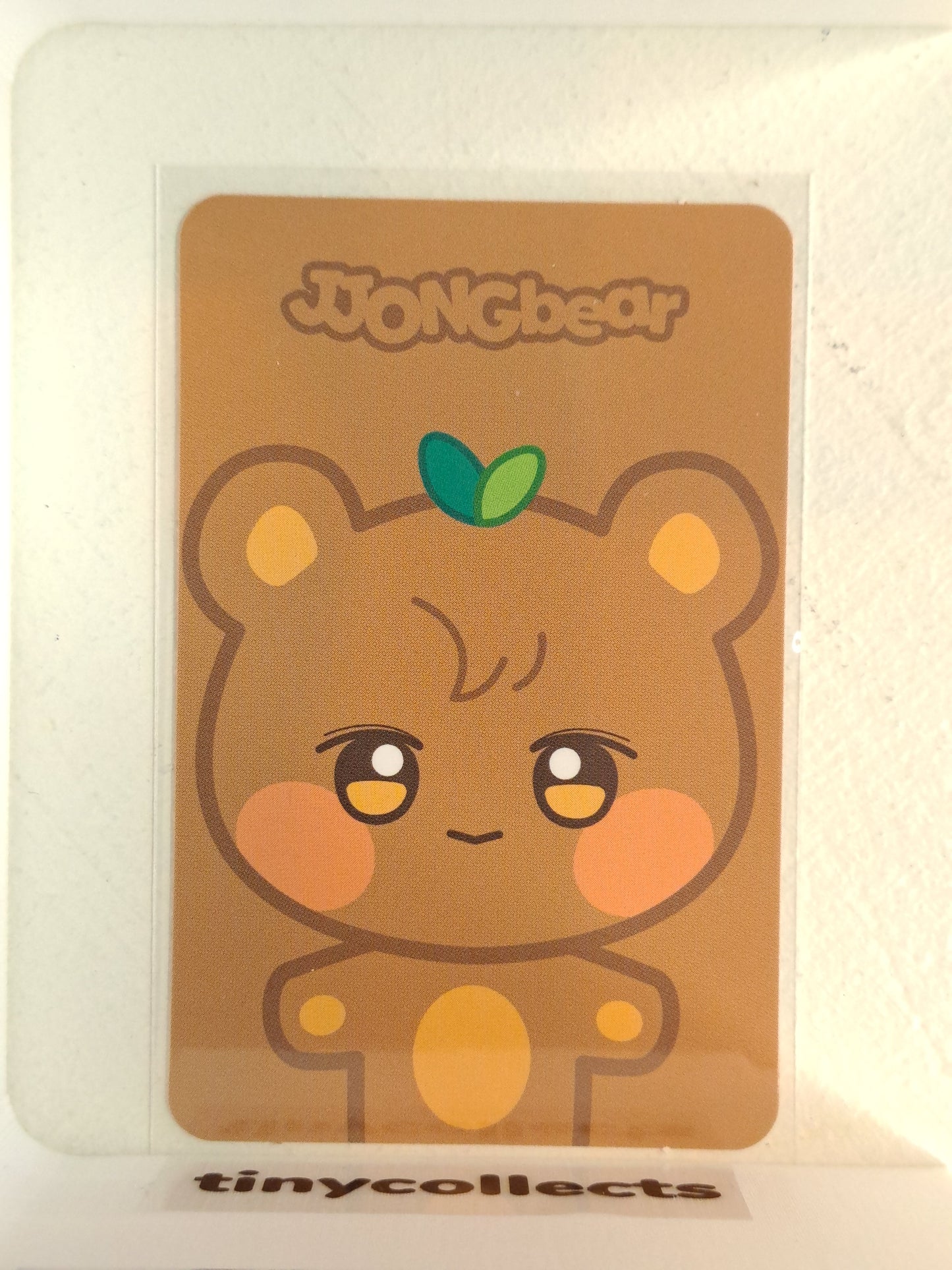 Jjongbear trading card 7 Aniteez in Illusion ATEEZ