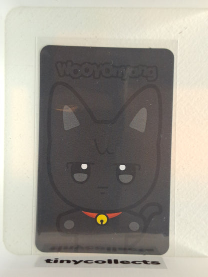 Wooyonyang trading card 7 Aniteez in Illusion ATEEZ