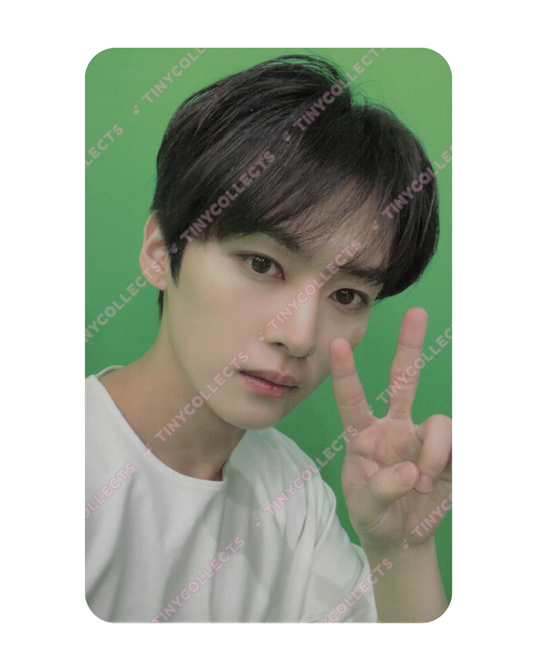 Lee Know album incl. Accordion Pre-Order ver. ATE Stray Kids