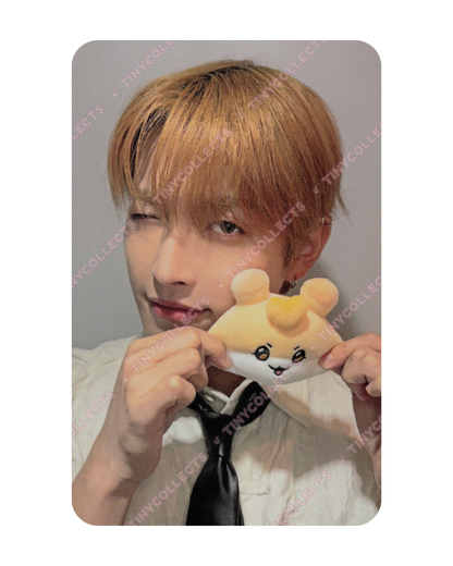 Hongjoong Mighteez Wonder Room Trading Card ver. 2 ATEEZ