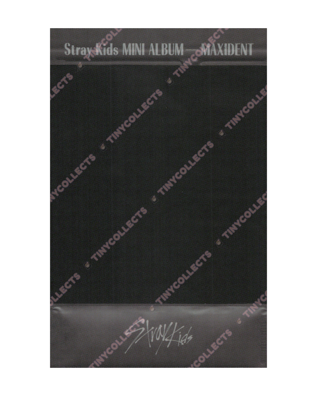 I.N album incl. Pre-Order Polaroid ver. Maxident Stray Kids