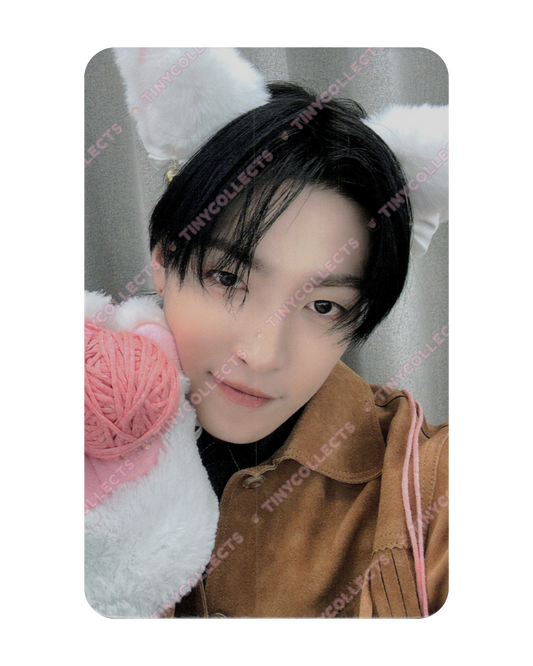 Hongjoong Dear My Muse Lucky Draw 1.1 Woolly Meow ver. Golden Hour part 4 ATEEZ