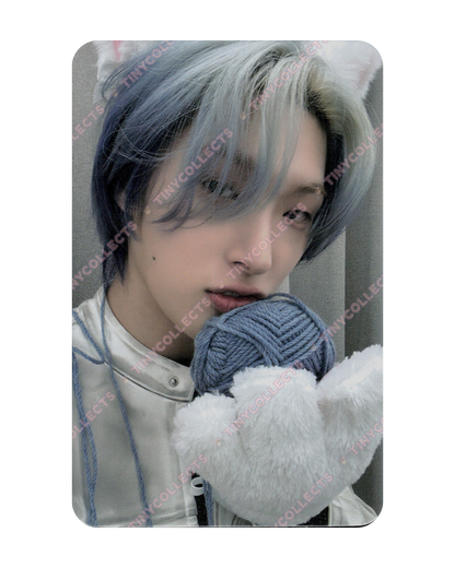 Mingi Dear My Muse Lucky Draw 1.1 Woolly Meow ver. Golden Hour part 4 ATEEZ