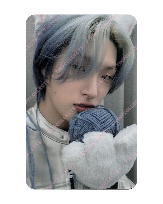 Mingi Dear My Muse Lucky Draw 1.1 Woolly Meow ver. Golden Hour part 4 ATEEZ