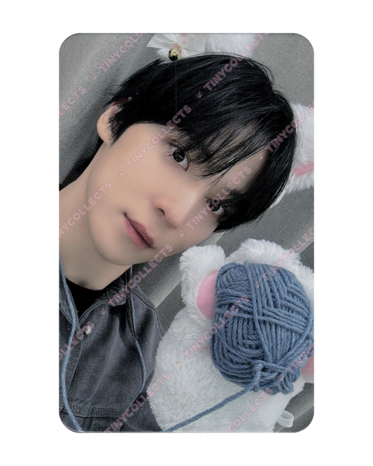 Yunho Dear My Muse Lucky Draw 1.1 Woolly Meow ver. Golden Hour part 4 ATEEZ