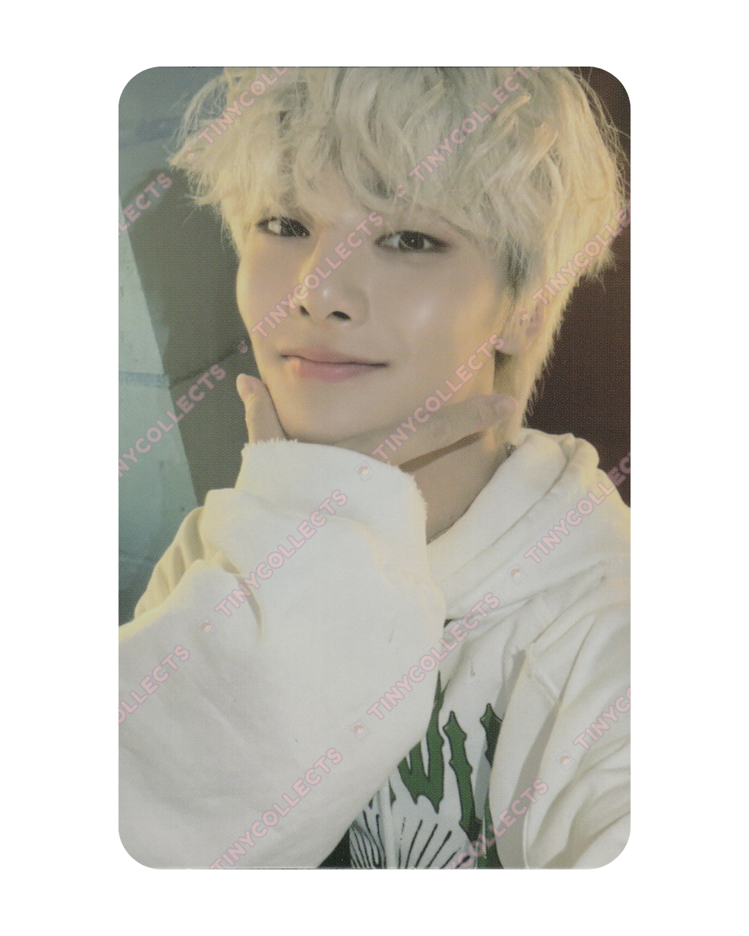 I.N Apple Music ver. POB Maxident Stray Kids