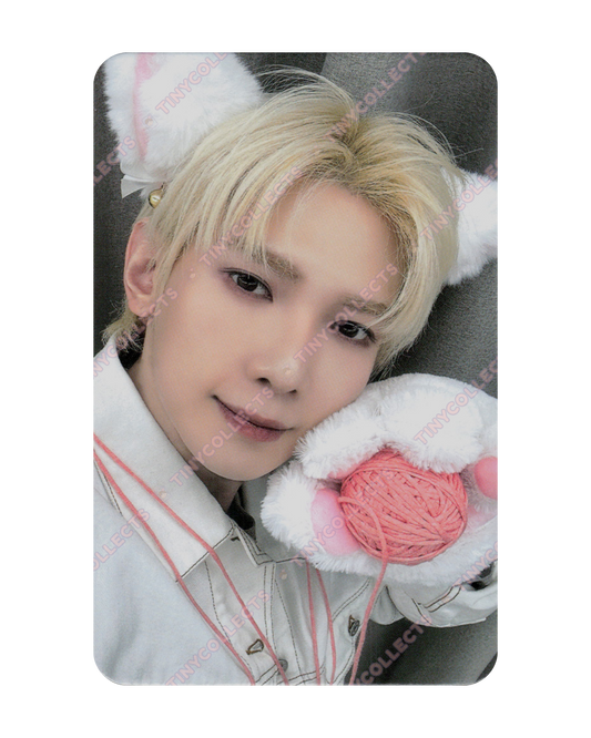 Yeosang Dear My Muse Lucky Draw 1.1 Woolly Meow ver. Golden Hour part 4 ATEEZ