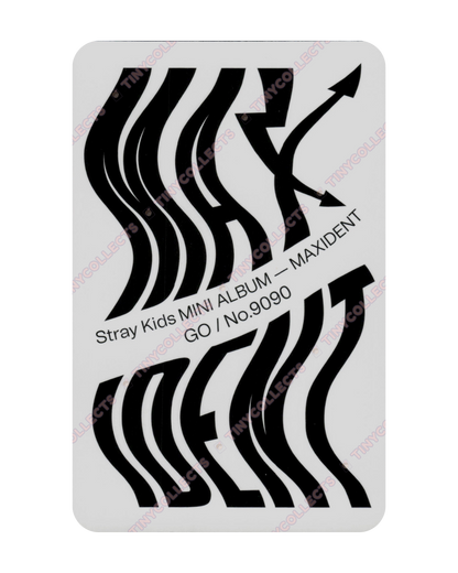 I.N album incl. C - Go ver. Maxident Stray Kids