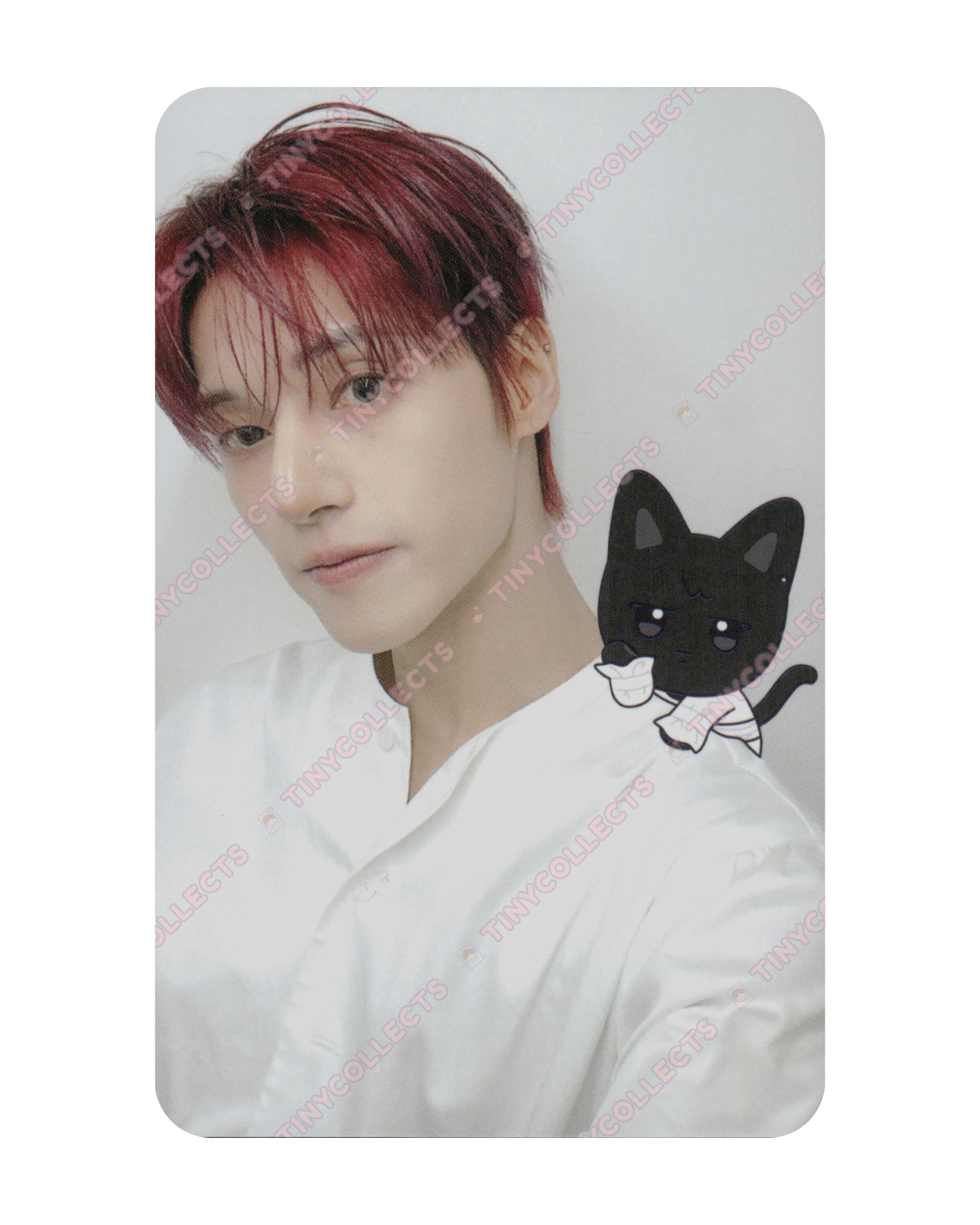 Wooyoung Trading Card 5 Aniteez in Deja Vu ATEEZ