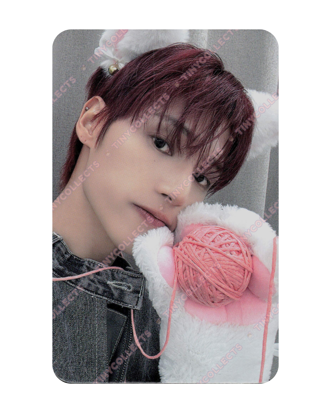 Wooyoung Dear My Muse Lucky Draw 1.1 Woolly Meow ver. Golden Hour part 4 ATEEZ