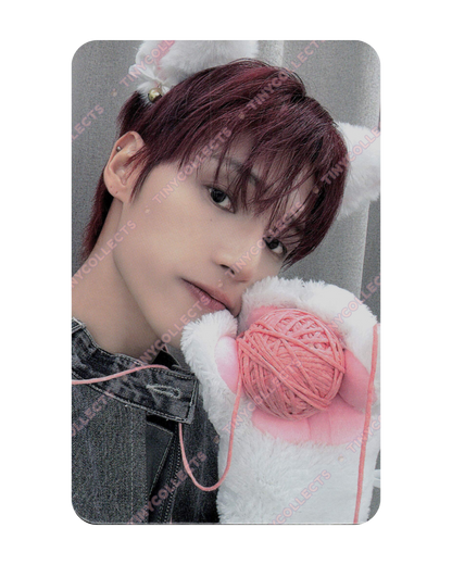 Wooyoung Dear My Muse Lucky Draw 1.1 Woolly Meow ver. Golden Hour part 4 ATEEZ
