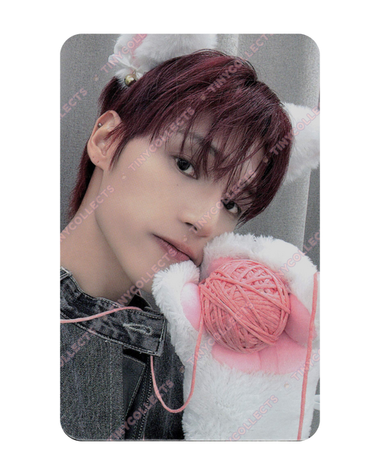 Wooyoung Dear My Muse Lucky Draw 1.1 Woolly Meow ver. Golden Hour part 4 ATEEZ