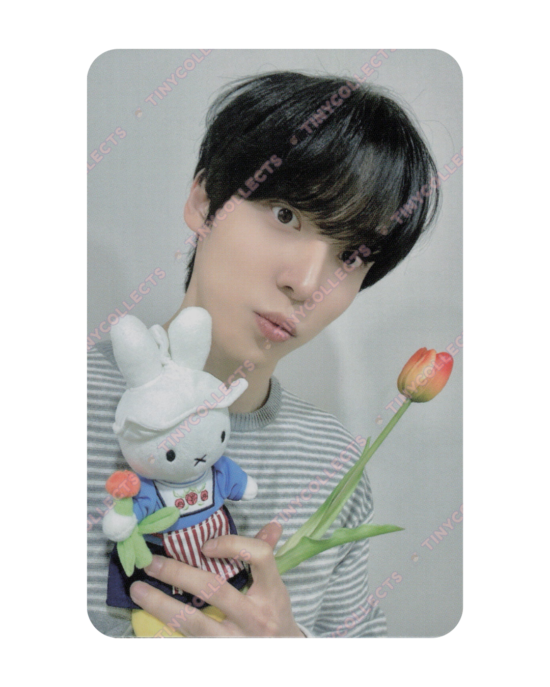 Yunho Fromm Lucky Draw 1.0 Miffy with Tulip ver. Golden Hour part 4 ATEEZ