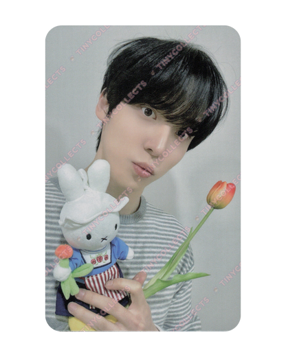 Yunho Fromm Lucky Draw 1.0 Miffy with Tulip ver. Golden Hour part 4 ATEEZ