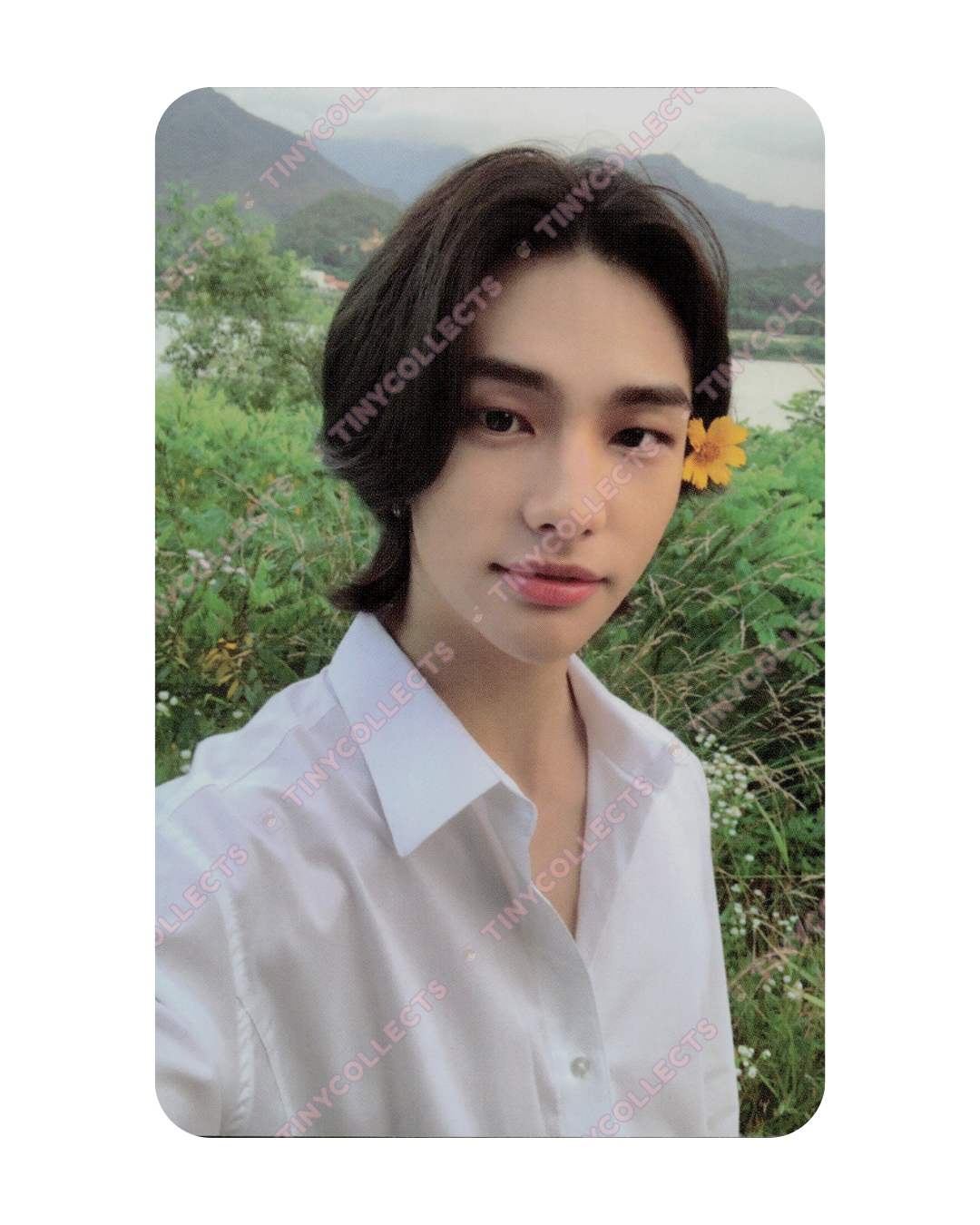 Hyunjin album incl. Limited ver. No Easy Stray Kids