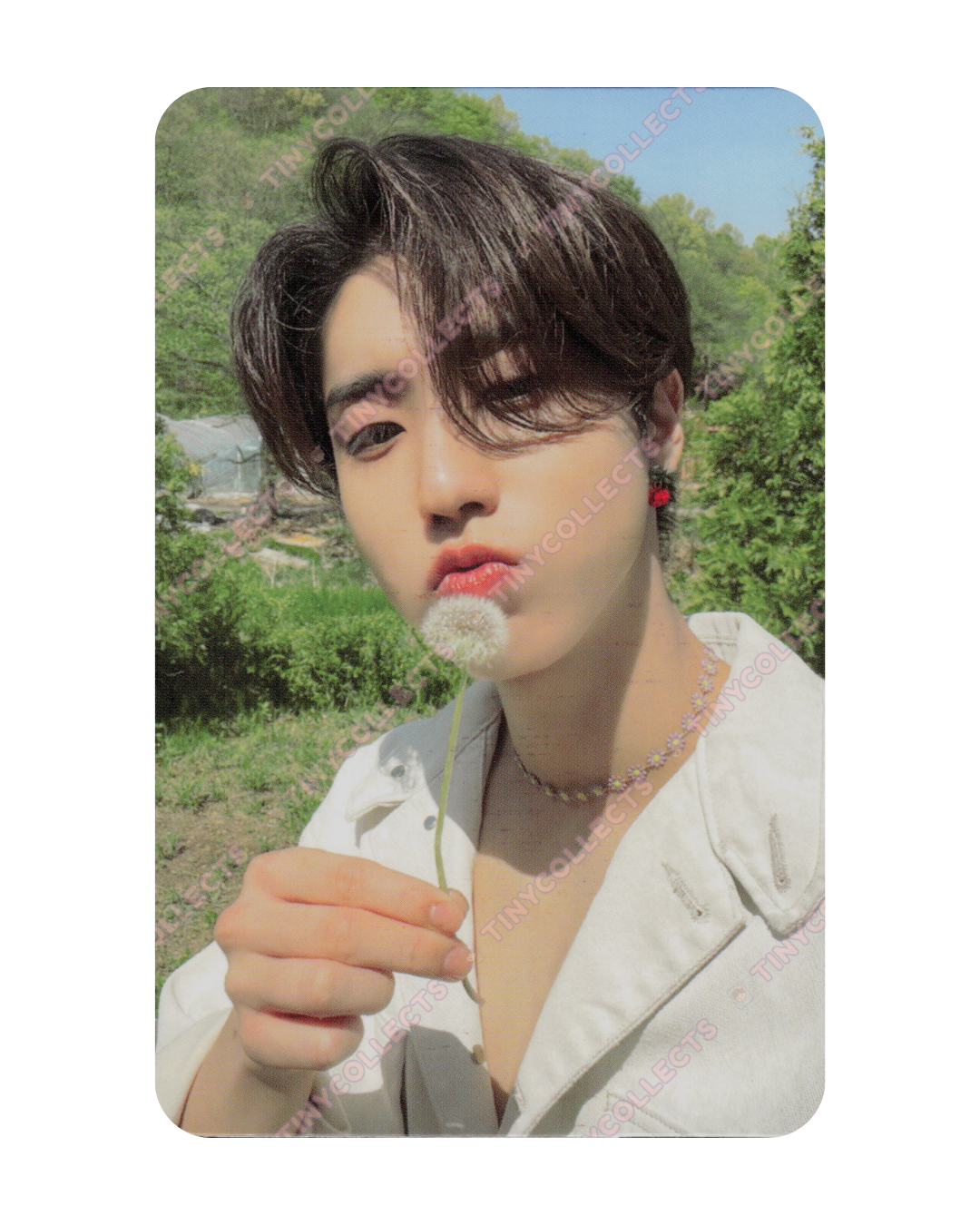 Han album incl. A - T-Crush ver. Maxident Stray Kids