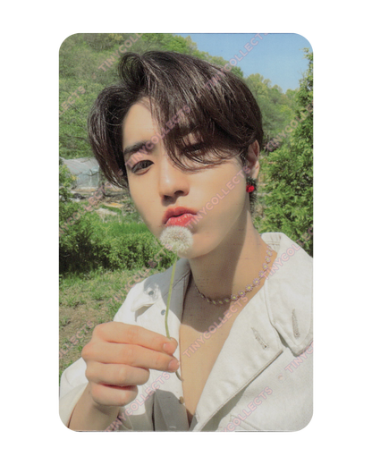 Han album incl. A - T-Crush ver. Maxident Stray Kids