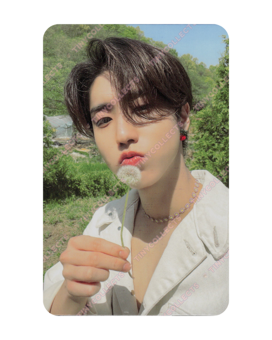 Han album incl. A - T-Crush ver. Maxident Stray Kids