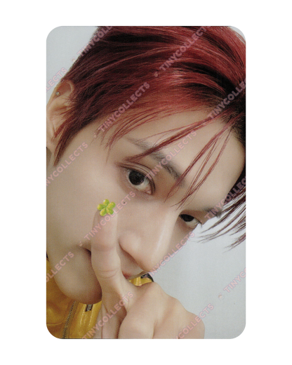 Wooyoung Micro Deco Sticker incl. Merch Aniteez in Color ATEEZ