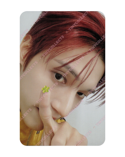 Wooyoung Micro Deco Sticker incl. Merch Aniteez in Color ATEEZ