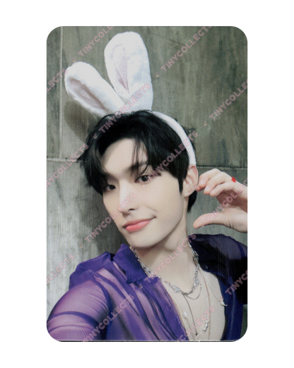 Mingi Makestar 3.0 Bunny Ears Headband ver. fansign benefit Golden Hour Part 1 ATEEZ