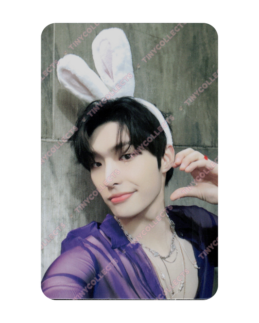 Mingi Makestar 3.0 Bunny Ears Headband ver. fansign benefit Golden Hour Part 1 ATEEZ