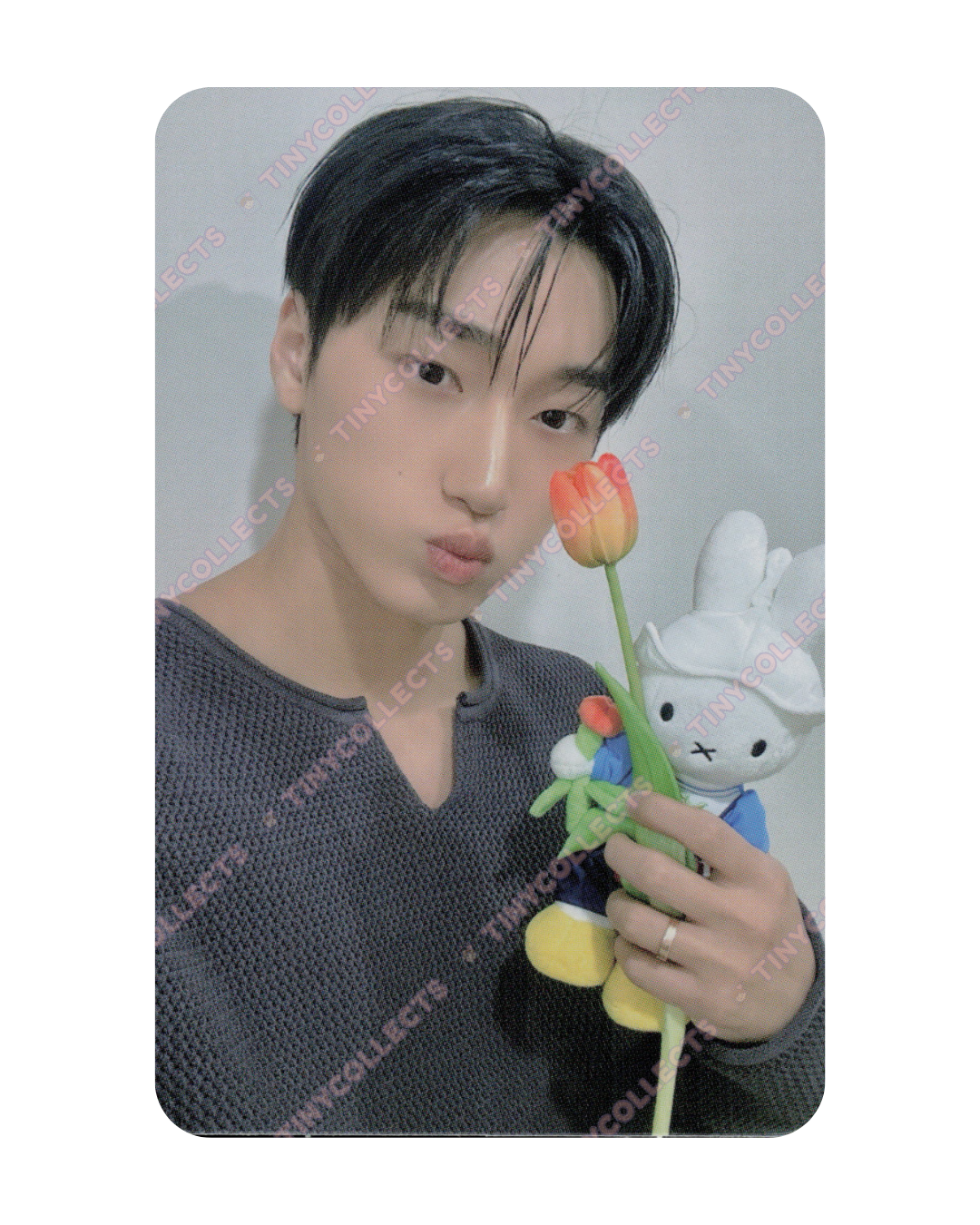 San Fromm Lucky Draw 1.0 Miffy with Tulip ver. Golden Hour part 4 ATEEZ