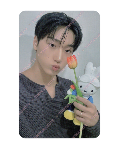 San Fromm Lucky Draw 1.0 Miffy with Tulip ver. Golden Hour part 4 ATEEZ
