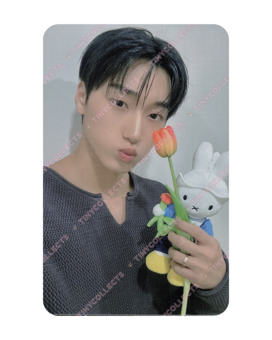San Fromm Lucky Draw 1.0 Miffy with Tulip ver. Golden Hour part 4 ATEEZ