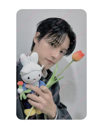 Wooyoung Fromm Lucky Draw 1.0 Miffy with Tulip ver. Golden Hour part 4 ATEEZ