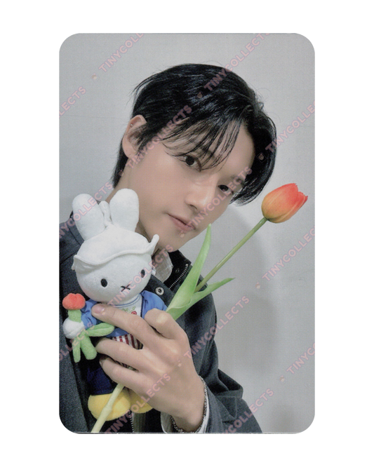 Wooyoung Fromm Lucky Draw 1.0 Miffy with Tulip ver. Golden Hour part 4 ATEEZ